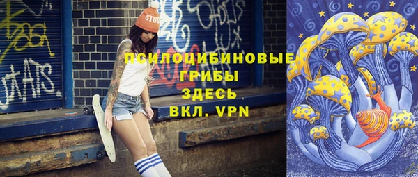 прущая мука Дмитриев