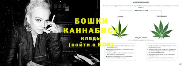 прущая мука Дмитриев