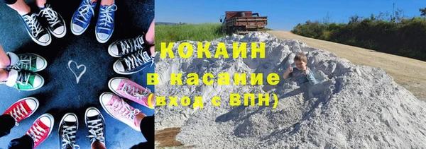 мяу мяу мука Дмитров