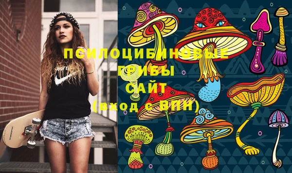 прущая мука Дмитриев