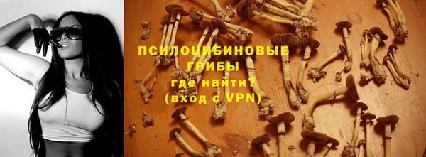 мяу мяу мука Дмитров